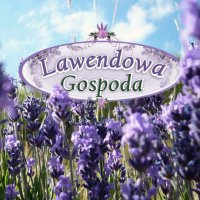 Logo firmy Lawendowa Gospoda