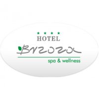 Logo firmy Hotel Brzoza